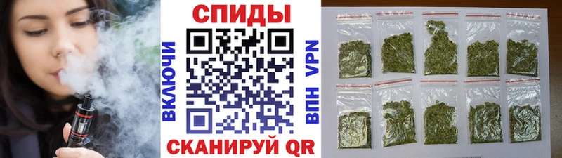даркнет сайт  Курильск  мориарти клад  Бутират бутандиол 