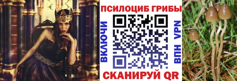 Галлюциногенные грибы GOLDEN TEACHER Курильск